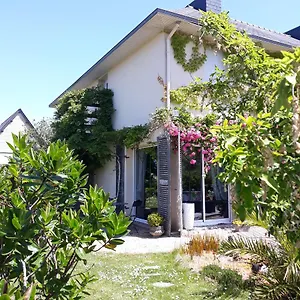 Des Hortensias *** Paimpol
